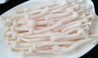 蟹味菇不能和什么同吃（蟹味菇不可以和什么一起吃?蟹味菇的相克食物!）