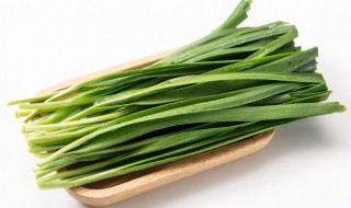 夏天韭菜可以吃吗（夏天韭菜可以吃吗视频）