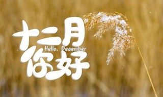 12月朋友圈心灵鸡汤说说 12月朋友圈心灵鸡汤说说文案