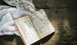 坍圮怎么读（坍圮怎么读什么意思）