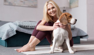 狗的名字洋气点的（拉布拉多母狗的名字洋气点的）