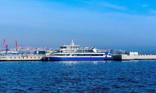 ais是什么意思（肺部ais是什么意思）