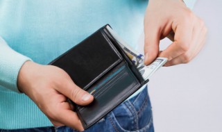 植物真皮是什么材质（植物真皮是什么材质的）