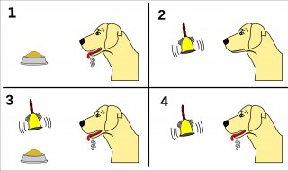 经典条件反射简介 经典条件反射四个阶段