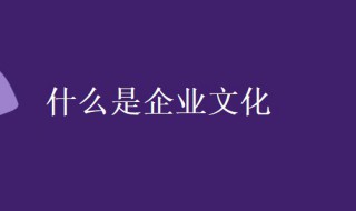 什么是企业文化（什么是企业文化的核心）