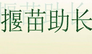 揠苗助长的意思是什么 揠苗助长的意思是什么二年级下册