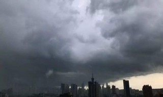 梦见下大雨是什么意思（早上梦见下大雨是什么意思）