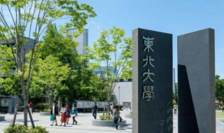 东北大学怎么样（美国波士顿东北大学怎么样）