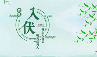 三伏是什么时候 三伏是什么时候2023