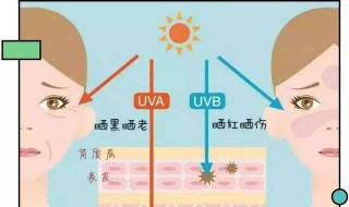 先用防晒还是先用隔离（先用防晒还是先用隔离?）