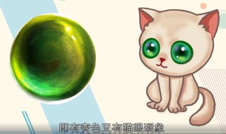 猫眼石是什么（猫眼石是什么材质）