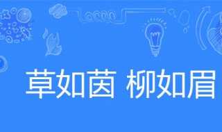 草如茵柳如眉仿写 草如茵柳如眉仿写类似的三字词语