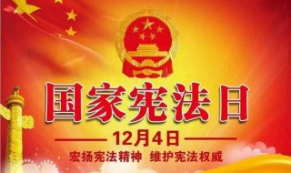 宪法日是哪一天（俄罗斯宪法日是哪一天）