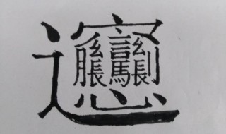 笔画最多的字 笔画最多的字是哪个字