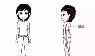 减大腿有效方法（减大腿有效方法有哪些）