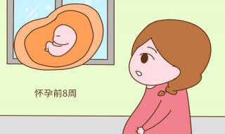 怀孕周期怎么算 怀孕周期是从什么时候开始算的