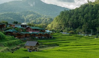 南昆山在哪里 惠州南昆山在哪里