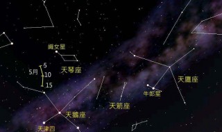 织女星属于哪个星座（欧米茄星座女表价格及图片）