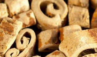 桑白皮的功效与作用及食用方法（桑白皮的功效与作用点的功效）
