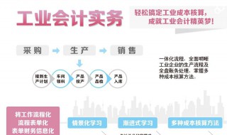 报考初级会计师的条件（报考初级会计师的条件和要求）