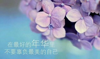 值得单曲循环的45首歌（值得单曲循环的45首歌是什么）