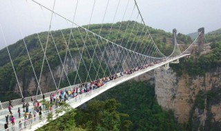 玻璃桥张家界在哪里（玻璃桥张家界门票价格）