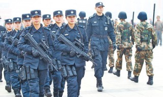 女特警电视剧剧情（女特警电视剧剧情分集介绍）