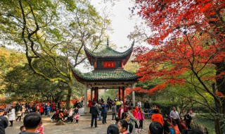 长沙市一日游必去景点（长沙市一日游必去景点凤凰古城）