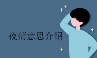 夜蒲是什么意思 安徽夜蒲信息技术公司怎么样