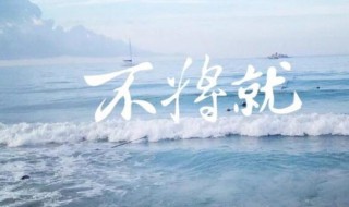 将就是什么意思（敬往事一杯酒,余生不将就是什么意思）