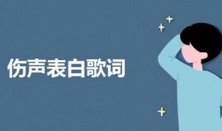 伤声表白歌词 伤声表白歌词完整版