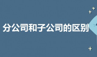 分公司和子公司的区别（分公司和总公司的关系）