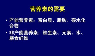 产能营养素介绍 产能营养素的作用