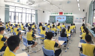 peaches是什么意思 peaches是什么意思中文翻译
