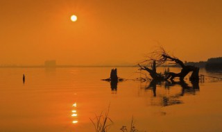 几度夕阳红歌词（几度夕阳红歌词 琼瑶）