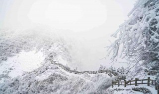 窗含西岭千秋雪的下一句（窗含西岭千秋雪的整首诗）