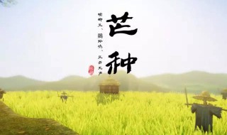 芒种是什么意思呢（芒种什么意思是什么）