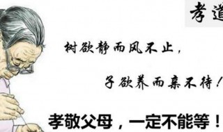 树欲静而风不止子欲养而亲不待什么意思 树欲静而风不止子欲养而亲不待解释