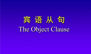 宾语从句例句（宾语从句例句简单）