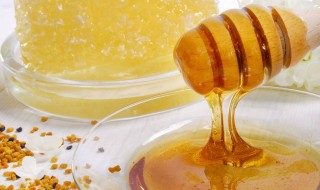 蜂蜜有什么功效和作用（喝土蜂蜜有什么功效和作用）