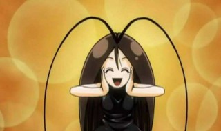 如何灭蟑螂最有效（怎么灭蟑螂最有效?）