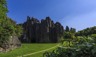 昆明有啥旅游景点（昆明有啥旅游景点好玩）