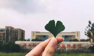 最新撩人的情话短句 100句撩人情话短句语录大全