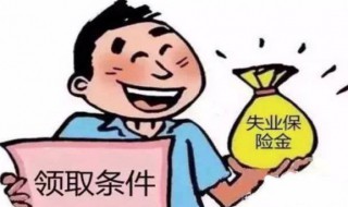 失业补助金与失业保险金的区别（失业补助金和失业保险金有什么区别）