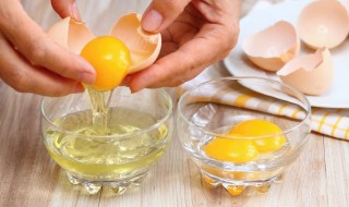 柴鸡蛋营养价值（柴鸡蛋营养价值和普通鸡蛋一样吗）