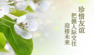 珍惜友情的唯美短句（珍惜友情的唯美短句英文）