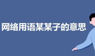 什么什么子是什么意思网络用语 啥子是什么