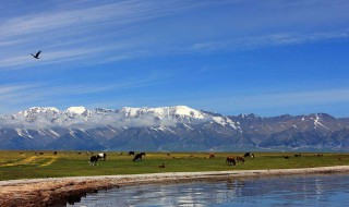 十大情侣旅游景点（情侣旅游景点推荐）