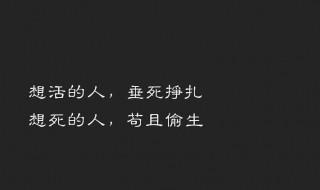 高冷又随性的句子（霸气高冷到爆的句子）