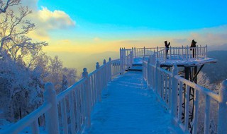 带小孩去哪里旅游最好（带小孩去哪里旅游最好浙江）